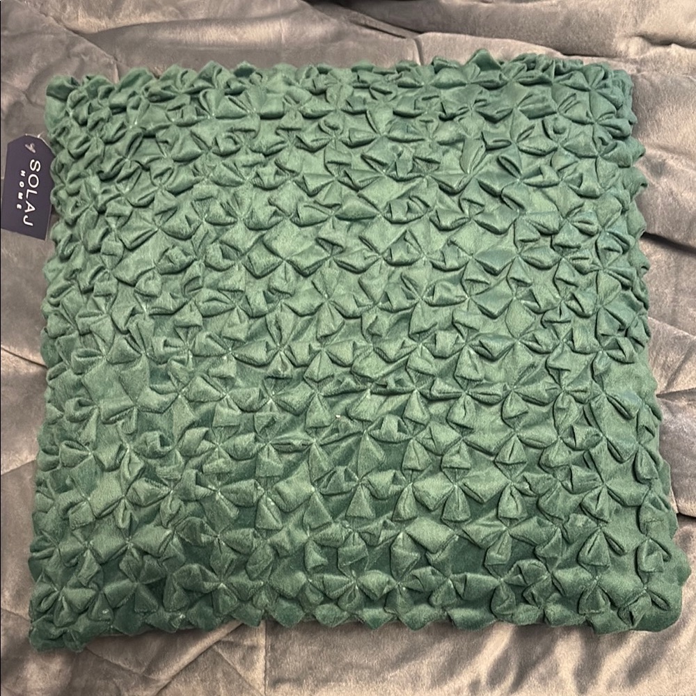 Solaj Home Green Textured Pillow 2pc Set